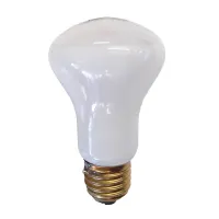 Gloeilamp superluxlamp 100 watt opaal E27  220-240 Volt